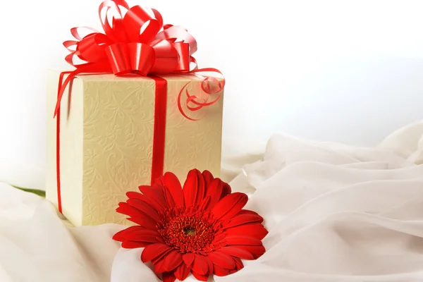 Present box with gerbera — Stock Photo, Image