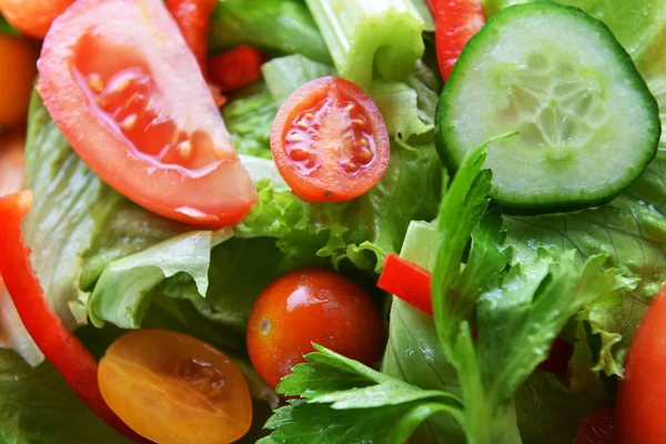 Salad with vegetable — Stock Photo, Image