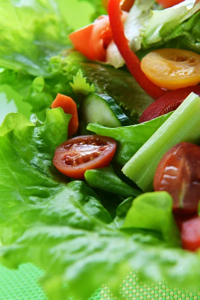 Insalata con verdure — Foto Stock