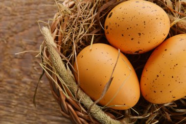 tavuk yumurtası
