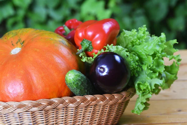 Verduras en mimbre — Foto de Stock