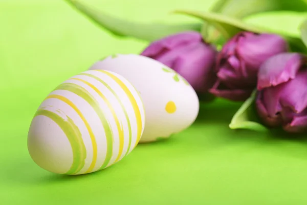 Пасхальные яйца и тюльпан — стоковое фото