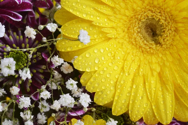 Bouquet of flowers — Stock Photo, Image