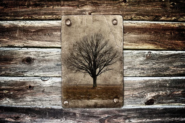 Tree without leaves on grunge paper — Stock Photo, Image