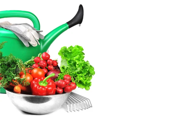 Watering can and vegetables. Stock Picture