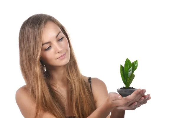 Young woman — Stock Photo, Image