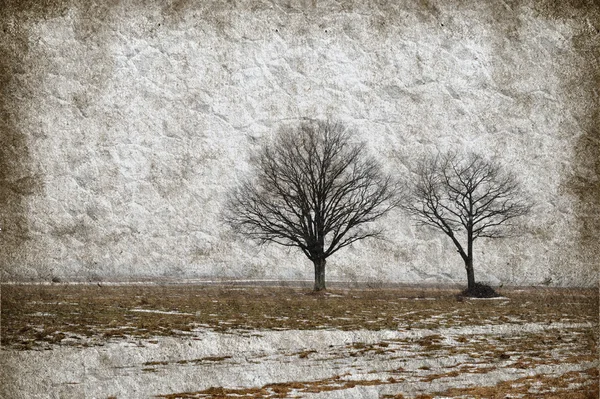 Зимний пейзаж с деревьями на гранж-бумаге — стоковое фото