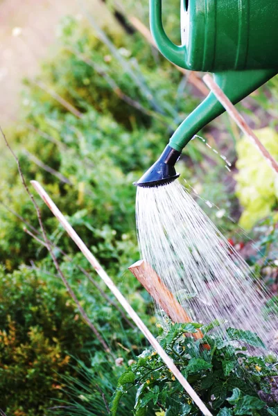 Annaffiamento del giardino — Foto Stock