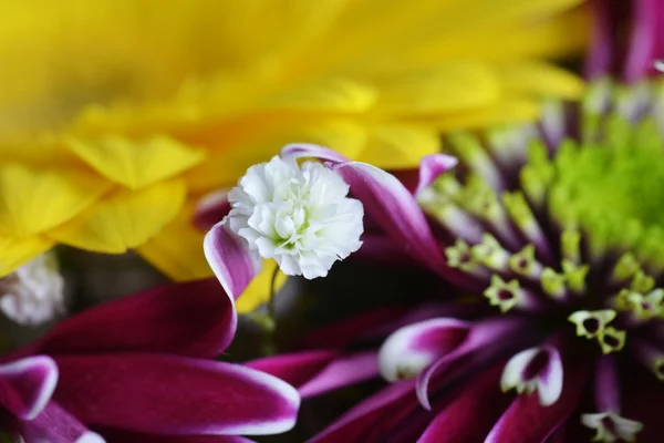 Bouquet of flowers — Stock Photo, Image