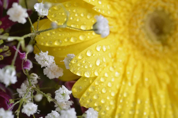 Bouquet de fleurs — Photo