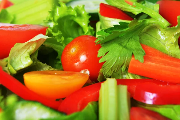 Salat mit Gemüse — Stockfoto