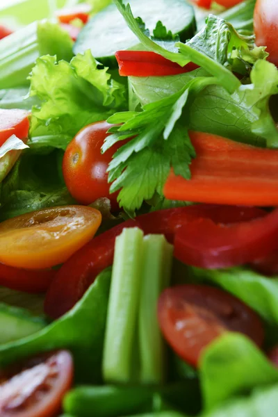 Salát se zeleninou — Stock fotografie