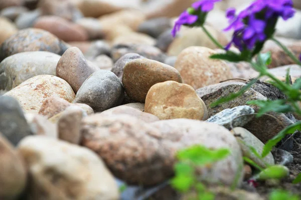 Farklı taş — Stok fotoğraf