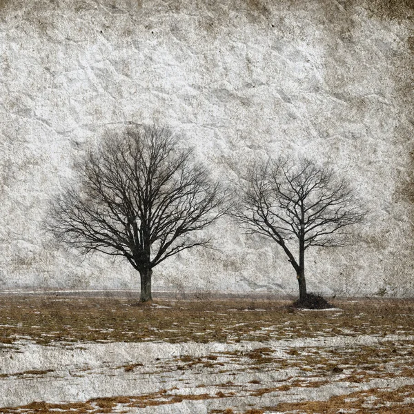 Winter landscape with trees on grunge paper — Stock Photo, Image