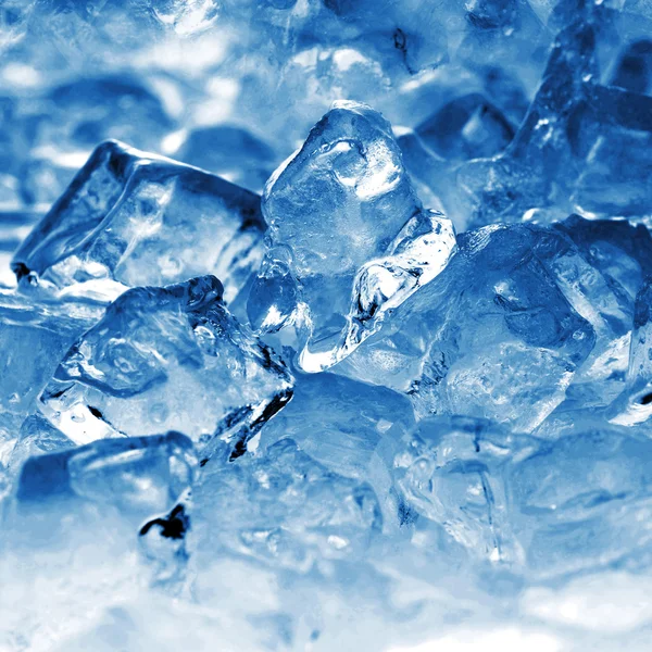 Ice cubes Stock Picture