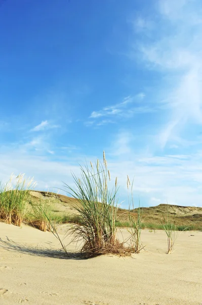 Witte wolken — Stockfoto