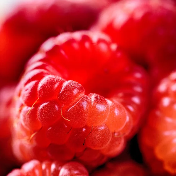 熟した赤いラズベリー — ストック写真