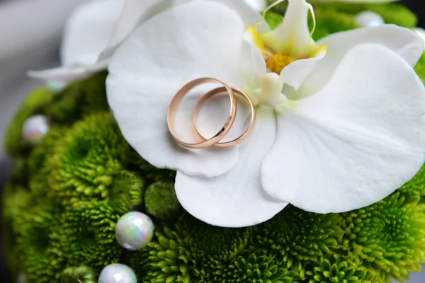 Bride bouquet — Stock Photo, Image