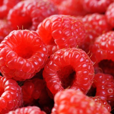 Olgun Kırmızı Ahududu