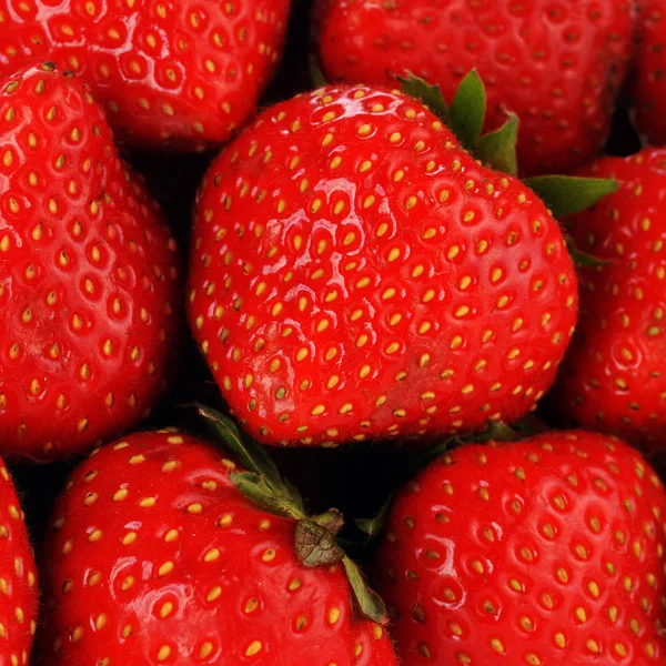 Red strawberry — Stock Photo, Image