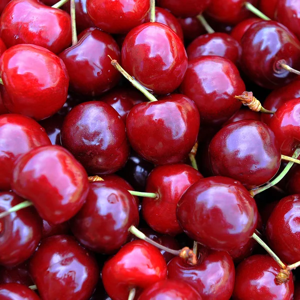 Freshly cherries — Stock Photo, Image