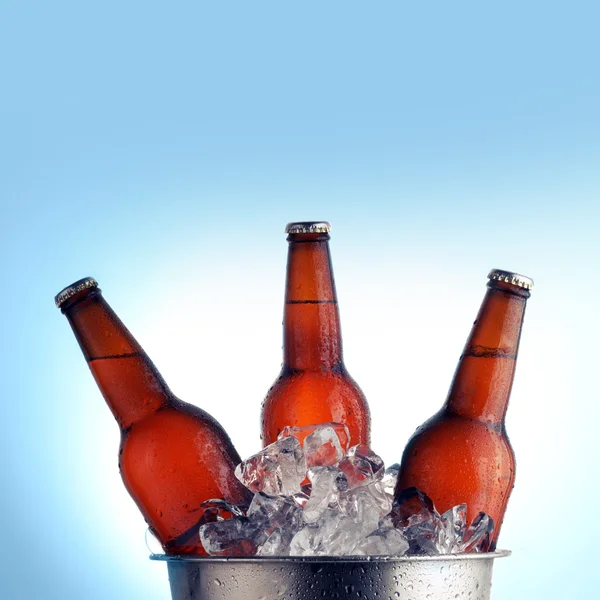 Bottiglie di birra — Foto Stock