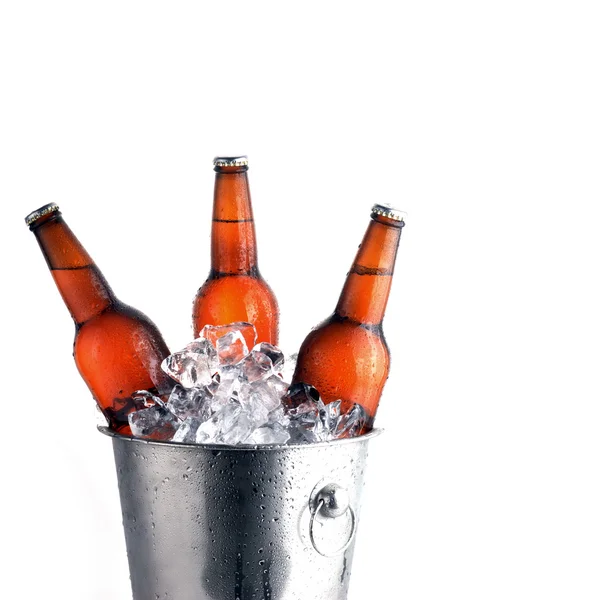 Beer bottles — Stock Photo, Image