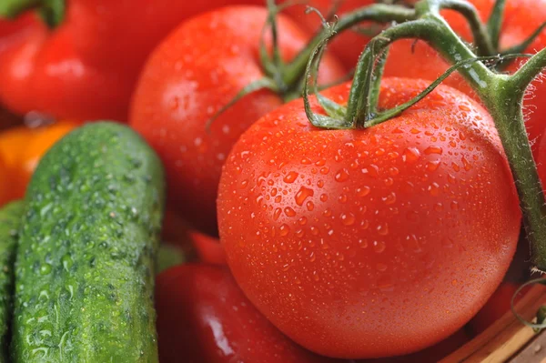 Vegetables in the basket — Stock Photo, Image