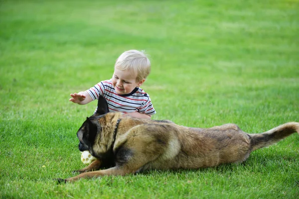 Liten pojke med hund — Stockfoto