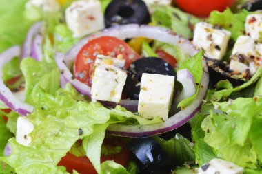 Taze sebzeli salata