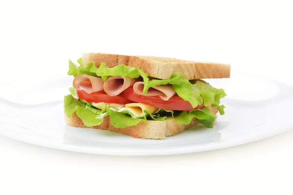Sandwich savoureux — Photo