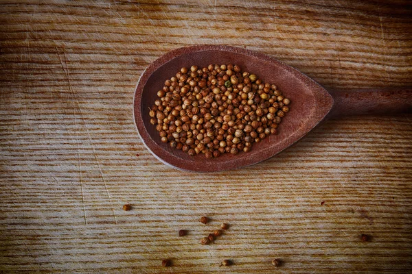 Семена Кориандра — стоковое фото