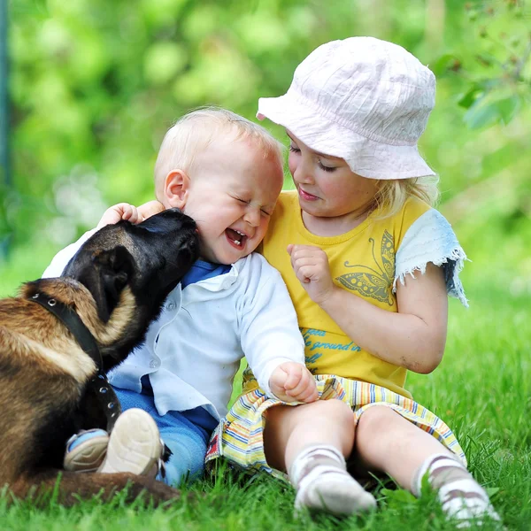 Children and dog — Stock Photo, Image