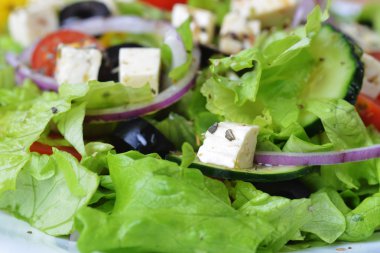 Taze sebzeli salata