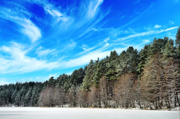 Día de invierno — Foto de Stock