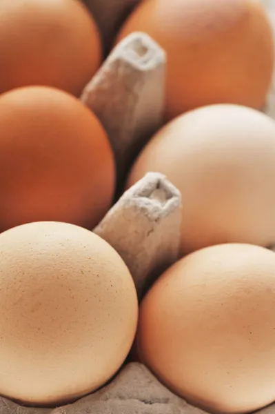 Verpakte eieren — Stockfoto