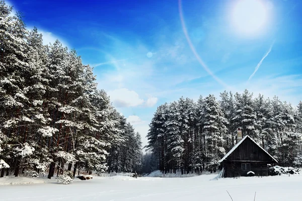 Paisaje invierno — Foto de Stock