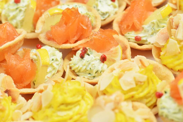 Tartlets with  salmon — Stock Photo, Image