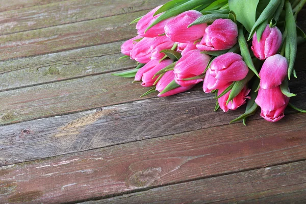 Pink tulips — Stock Photo, Image