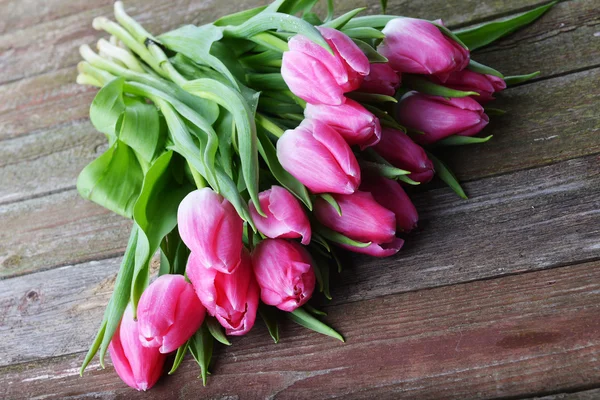 Pink tulips — Stock Photo, Image