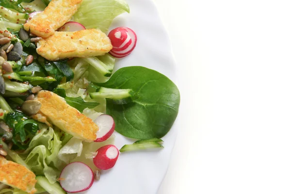 Fräsch sallad — Stockfoto