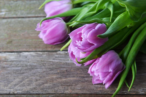 Růžové tulipány — Stock fotografie