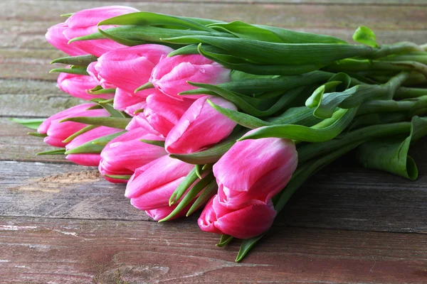 Pink tulips — Stock Photo, Image