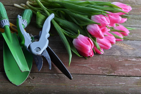 Tulipanes rosados y herramientas de jardín — Foto de Stock