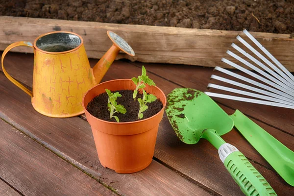 Gardening tools — Stock Photo, Image