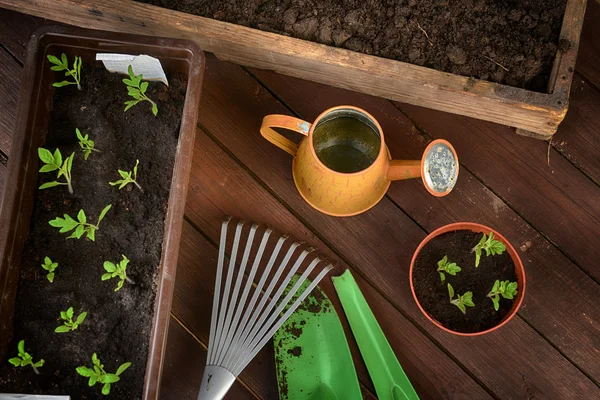 Gardening tools — Stock Photo, Image