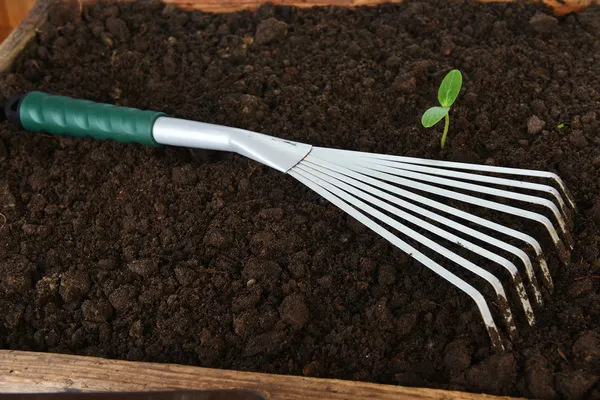 Herramientas de jardinería —  Fotos de Stock