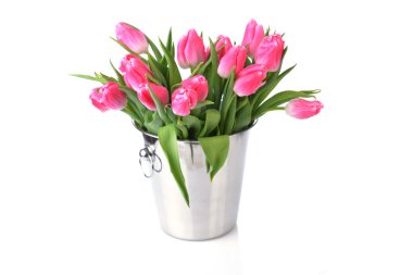 Pembe Laleler