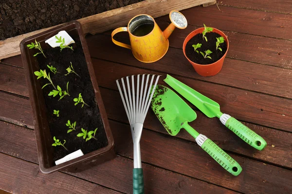 Strumenti di giardinaggio — Foto Stock