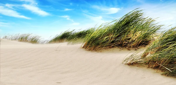 Paesaggio marino — Foto Stock